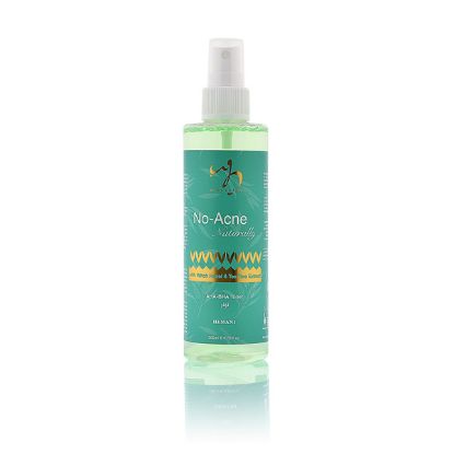 No Acne Naturally AHA-BHA Toner | WB by Hemani	